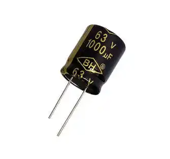 电解电容是有极性的吗